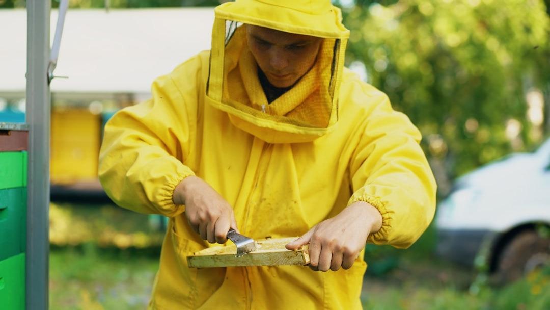 pest control professional