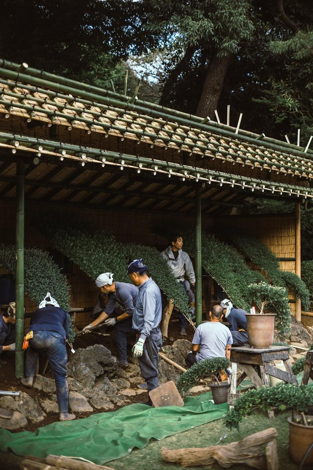Landscaping experts working on a garden